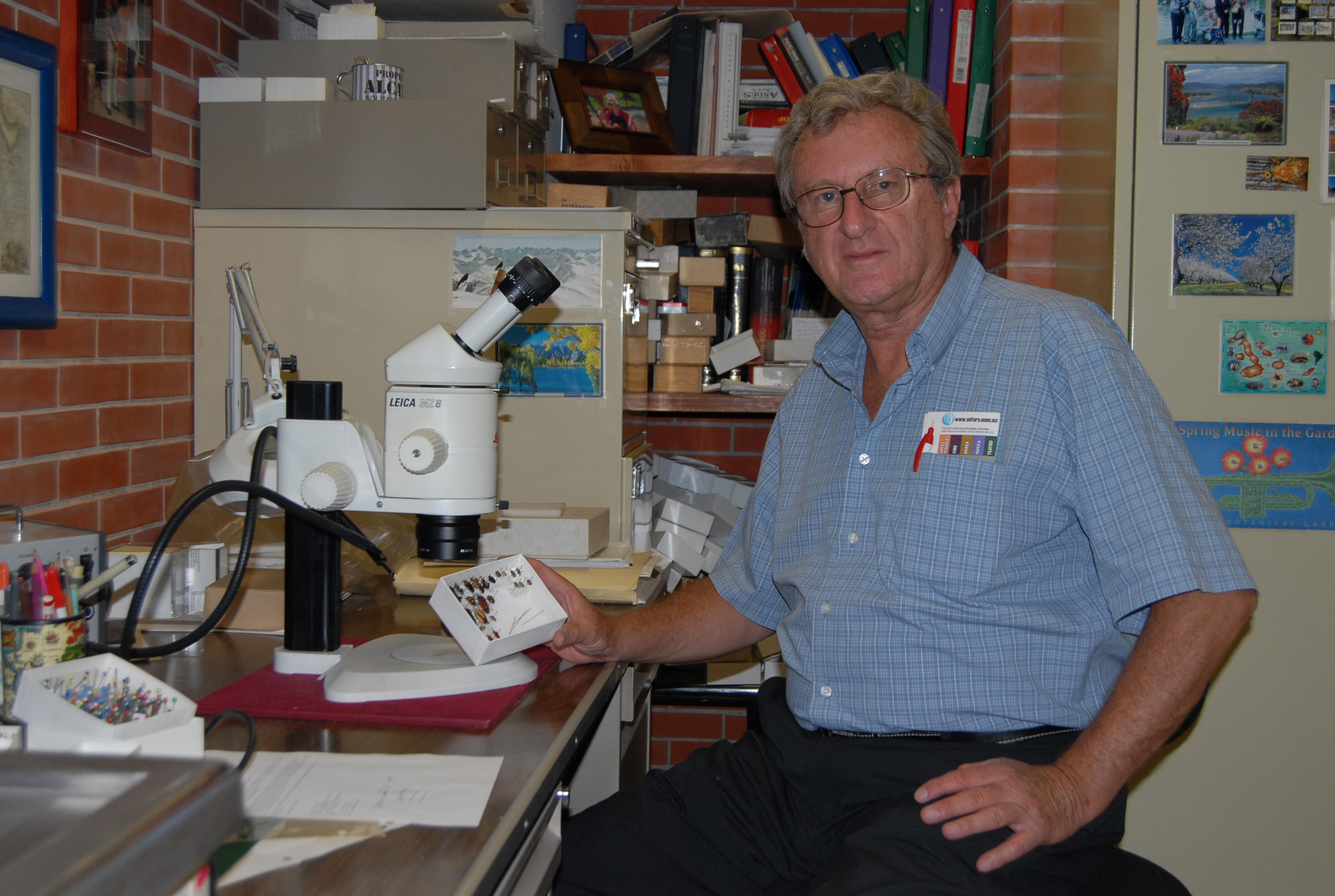 Harry Brailovsky